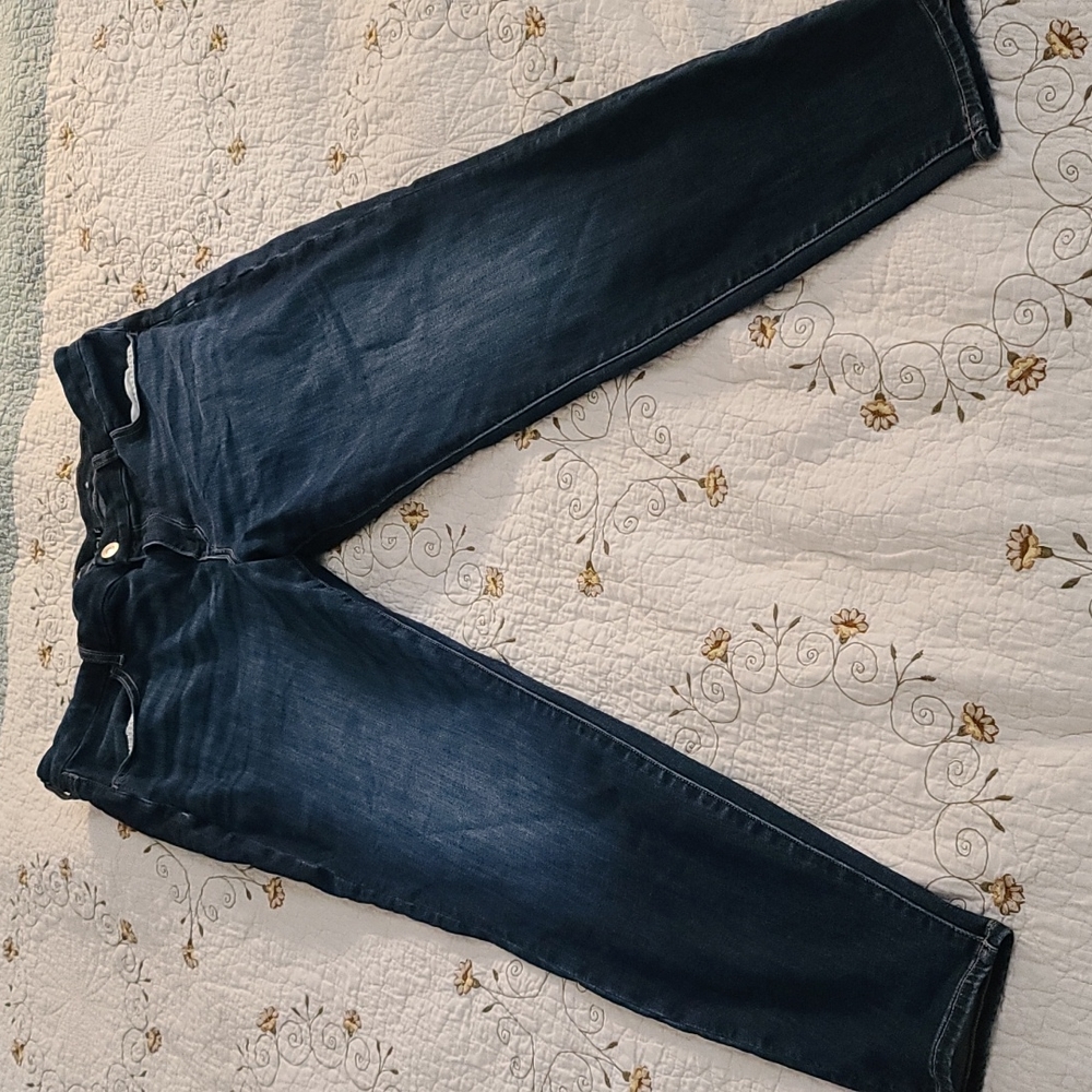 American Eagle Curvy Jegging 18 Long